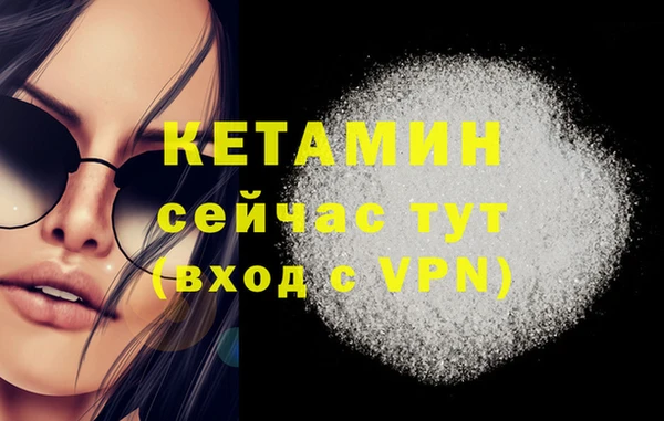 крисы Армянск