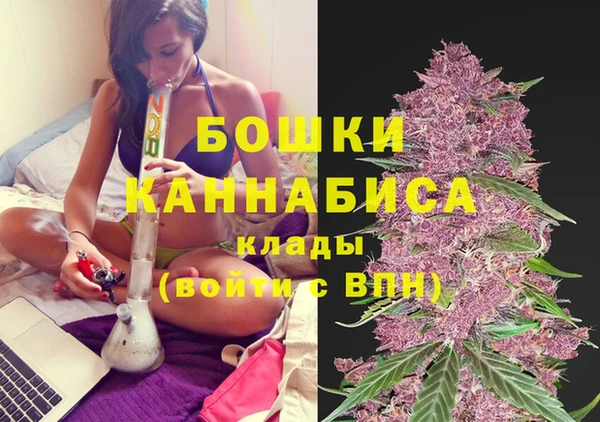 дживик Балахна